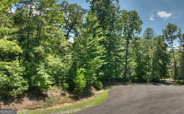 136 Whispering Ridge Court 136, Ellijay, GA 30540