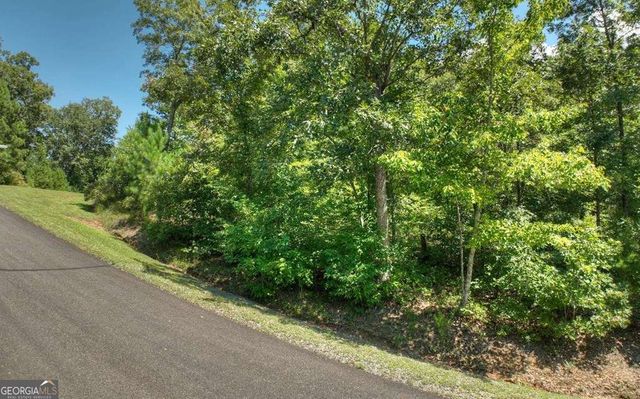 136 Whispering Ridge Court 136, Ellijay, GA 30540