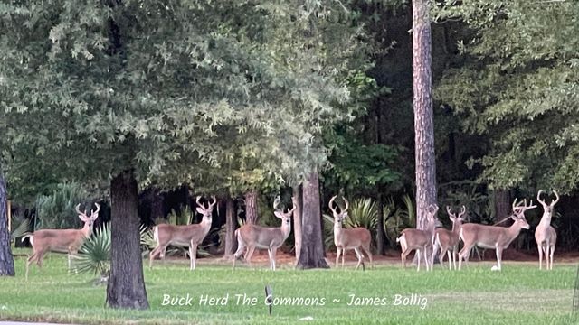 28503 Riverside Crest Lane, Houston, TX 77336