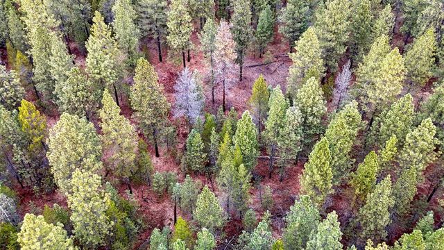 31912 N Division Rd, Deer Park, WA 99006