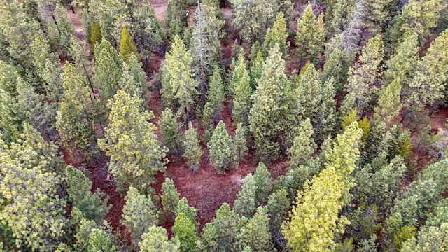 31912 N Division Rd, Deer Park, WA 99006