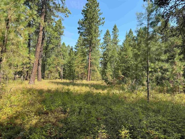 31912 N Division Rd, Deer Park, WA 99006