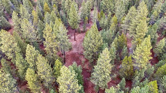 31912 N Division Rd, Deer Park, WA 99006