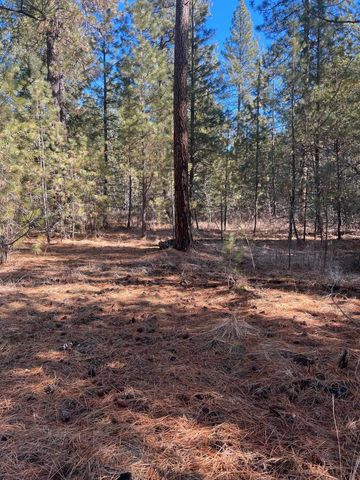 31912 N Division Rd, Deer Park, WA 99006