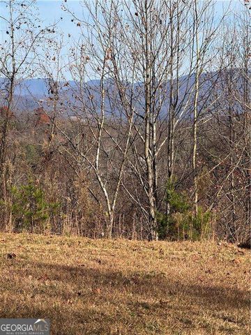 33 Chatuge Manor Drive, Young Harris, GA 30582