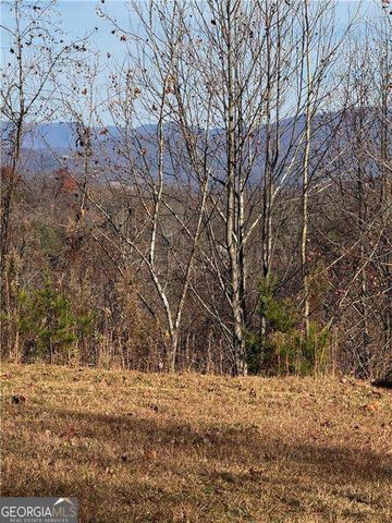 33 Chatuge Manor Drive, Young Harris, GA 30582