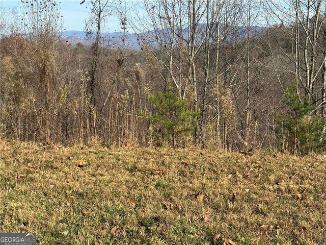 33 Chatuge Manor Drive, Young Harris, GA 30582