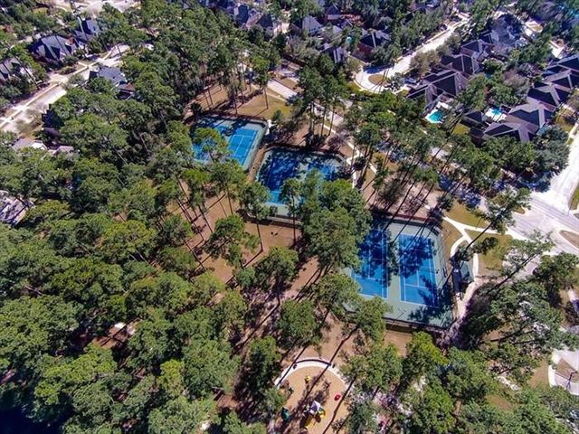 19902 Tidy Tips Lane, Spring, TX 77379