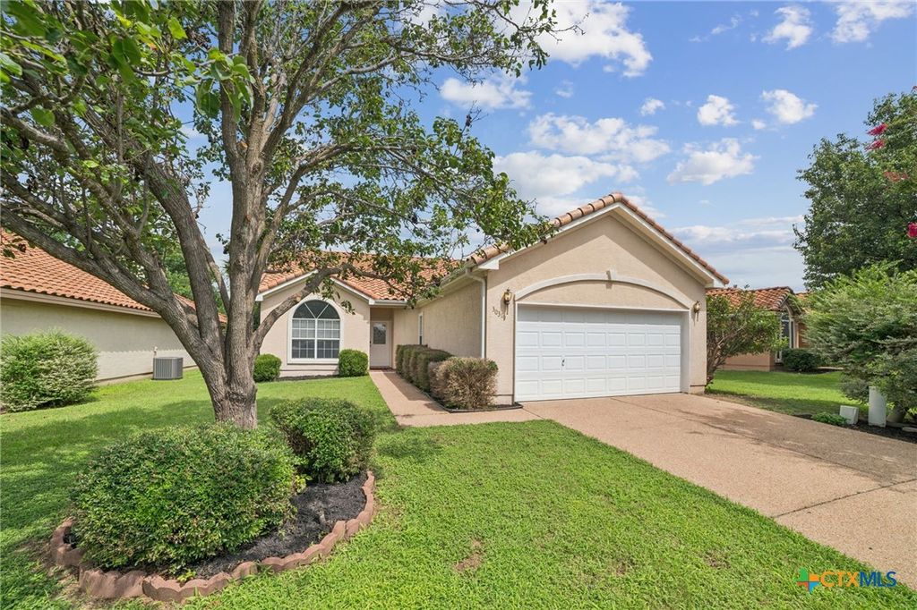 30319 Briarcrest Drive, Georgetown, TX 78628