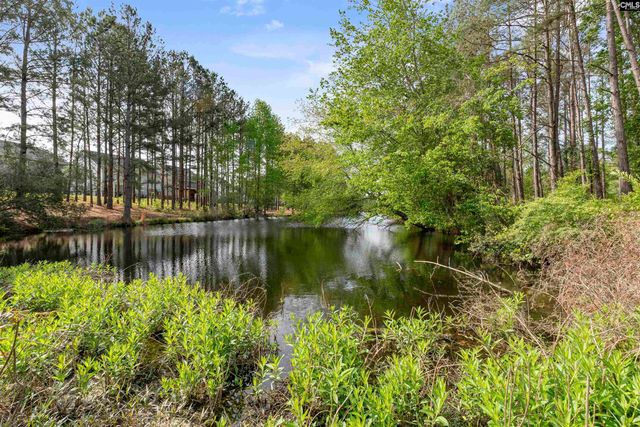222 Falling Leaves Lane, Blythewood, SC 29016