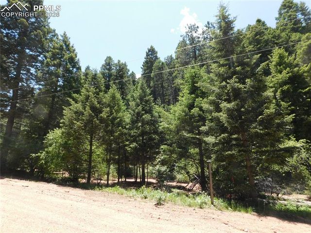 13175 Spruce Creek Circle, Larkspur, CO 80118