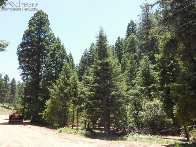 13175 Spruce Creek Circle, Larkspur, CO 80118