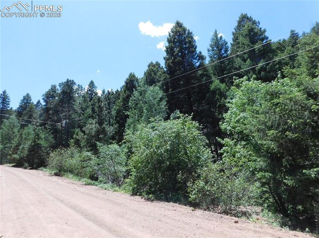 13175 Spruce Creek Circle, Larkspur, CO 80118