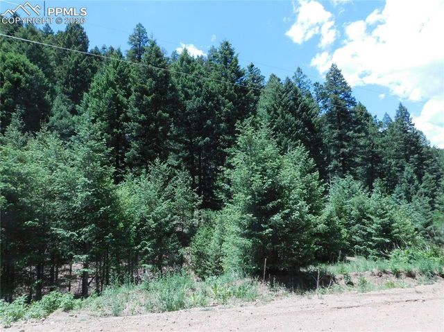 13175 Spruce Creek Circle, Larkspur, CO 80118
