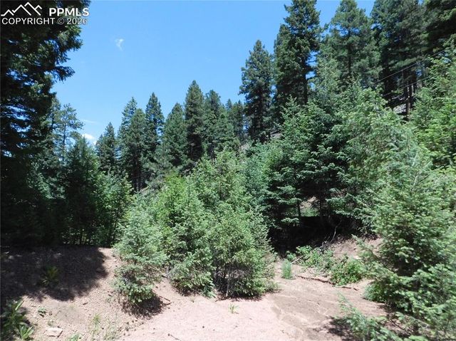 13175 Spruce Creek Circle, Larkspur, CO 80118