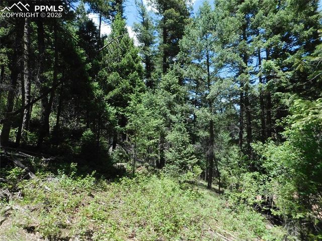 13175 Spruce Creek Circle, Larkspur, CO 80118
