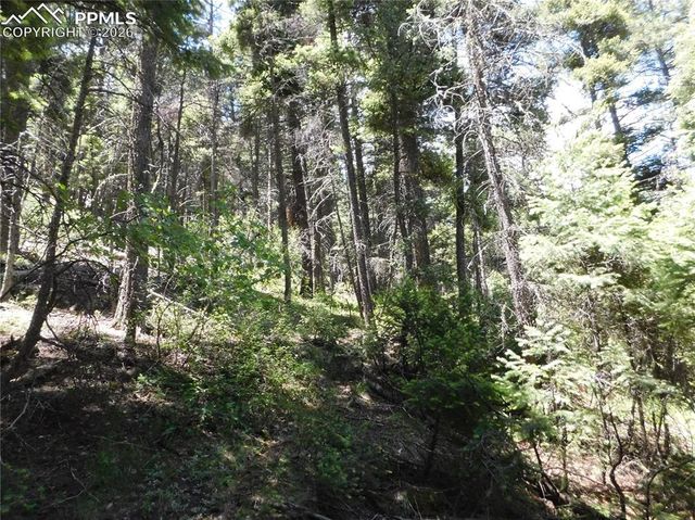 13175 Spruce Creek Circle, Larkspur, CO 80118