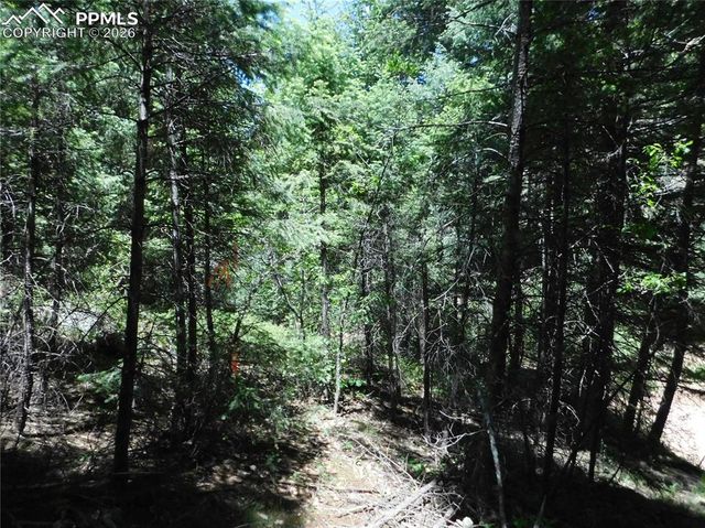 13175 Spruce Creek Circle, Larkspur, CO 80118