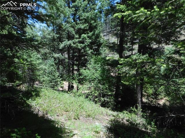 13175 Spruce Creek Circle, Larkspur, CO 80118