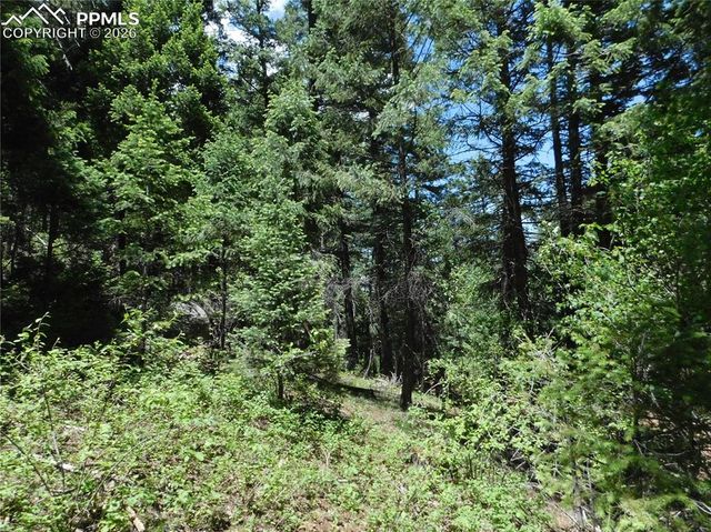 13175 Spruce Creek Circle, Larkspur, CO 80118