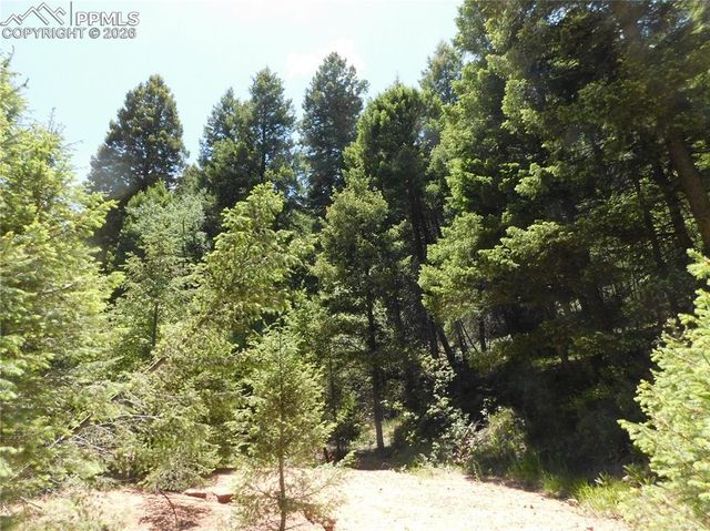 13175 Spruce Creek Circle, Larkspur, CO 80118