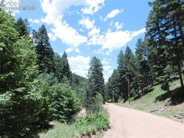 13175 Spruce Creek Circle, Larkspur, CO 80118
