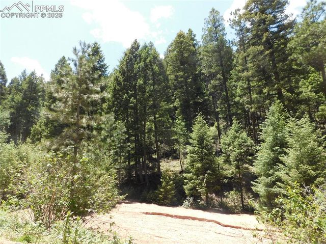 13175 Spruce Creek Circle, Larkspur, CO 80118
