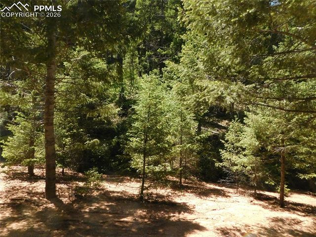 13175 Spruce Creek Circle, Larkspur, CO 80118