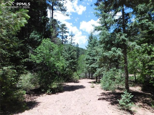 13175 Spruce Creek Circle, Larkspur, CO 80118