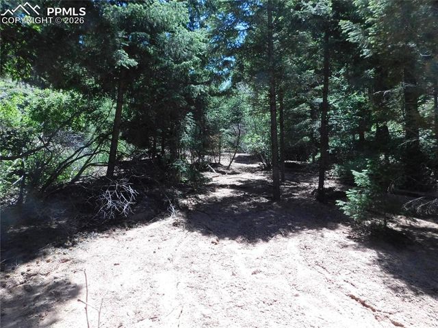 13175 Spruce Creek Circle, Larkspur, CO 80118