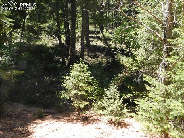 13175 Spruce Creek Circle, Larkspur, CO 80118