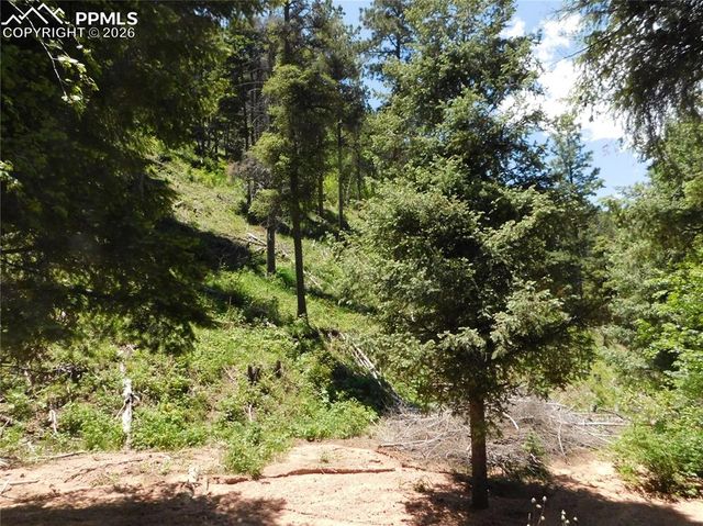 13175 Spruce Creek Circle, Larkspur, CO 80118