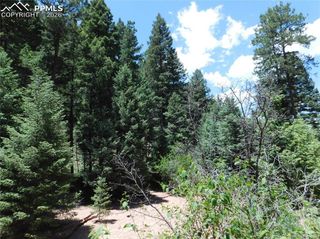 13175 Spruce Creek Circle, Larkspur, CO 80118