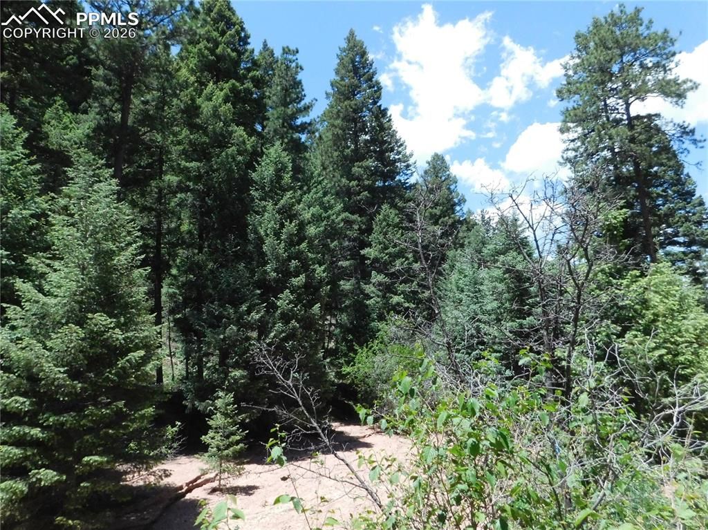 13175 Spruce Creek Circle, Larkspur, CO 80118