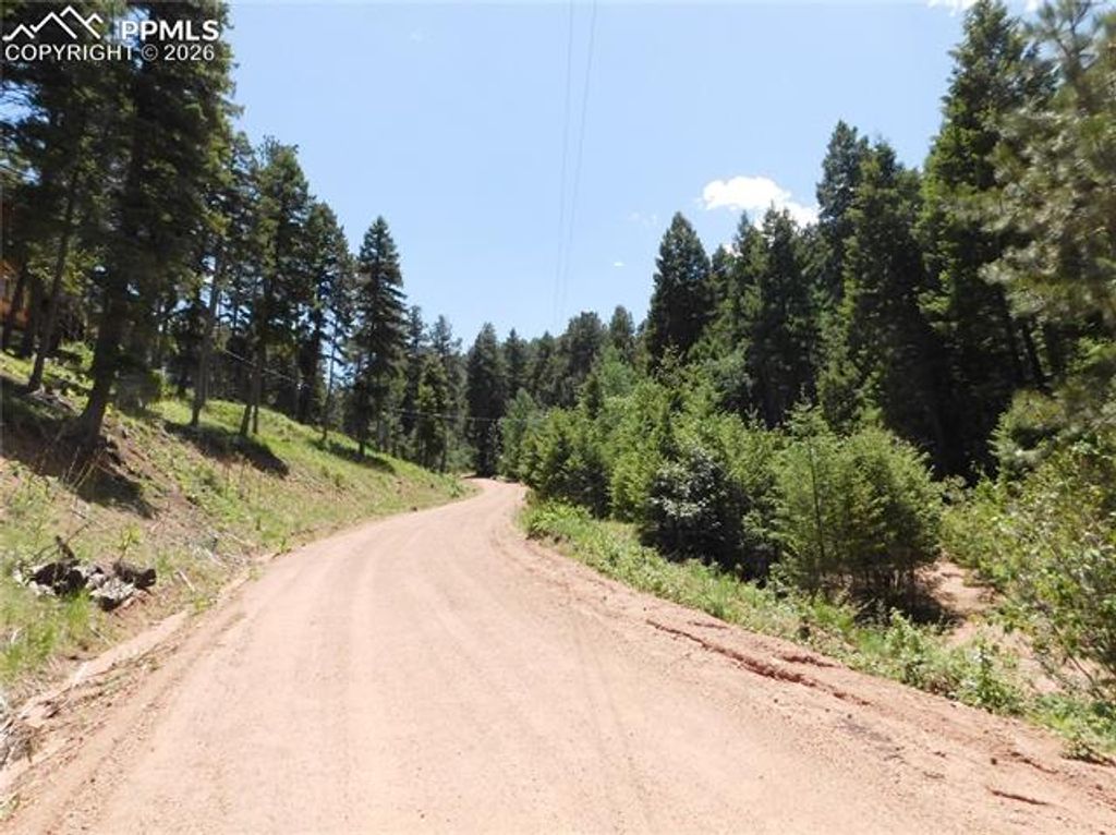 13175 Spruce Creek Circle, Larkspur, CO 80118 — photo 2
