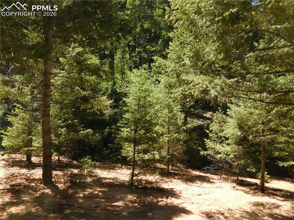 13175 Spruce Creek Circle, Larkspur, CO 80118 — photo 4