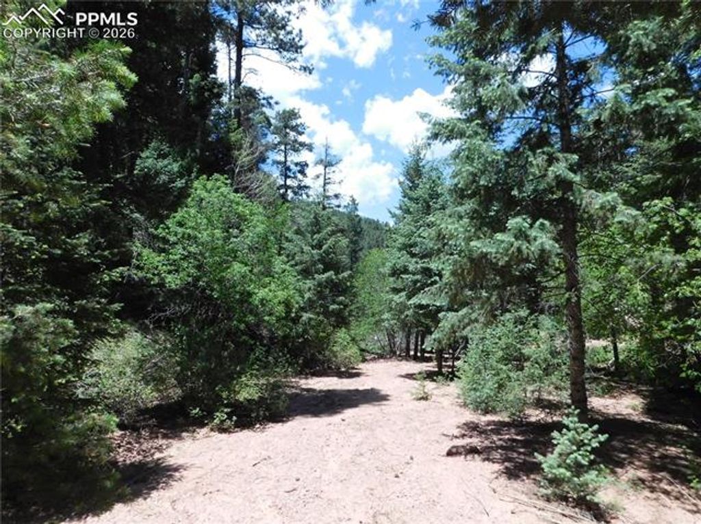 13175 Spruce Creek Circle, Larkspur, CO 80118 — photo 5