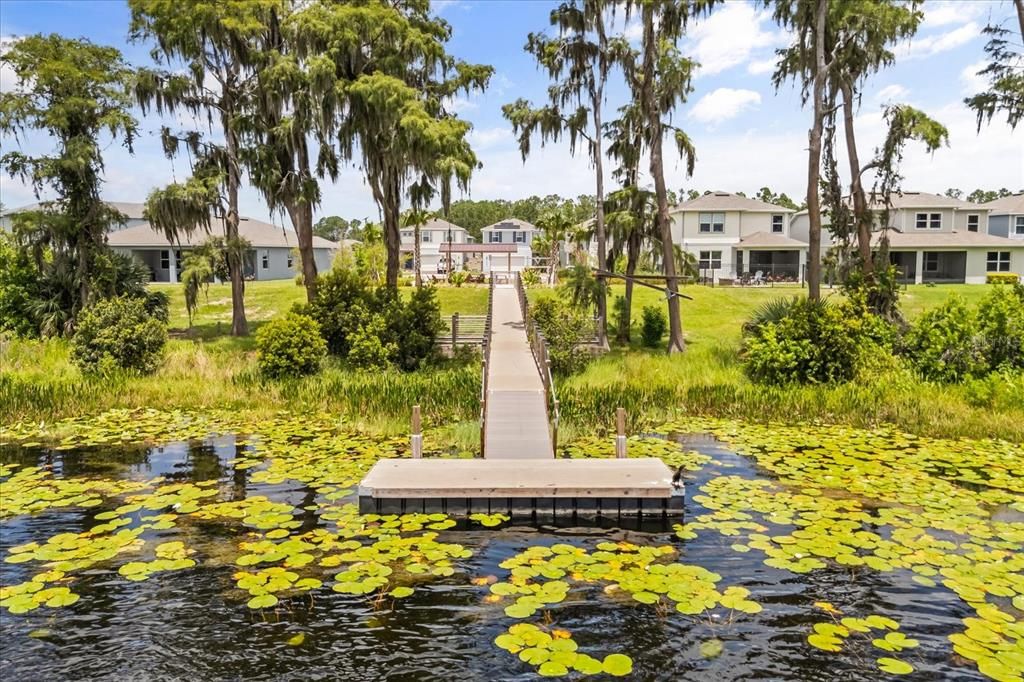 Image 51 of property listing at 17491 SAW PALMETTO AVENUE, Clermont, FL 34714
