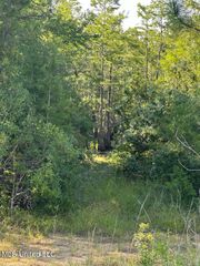 No Hyacinth, Moss Point, MS 39552