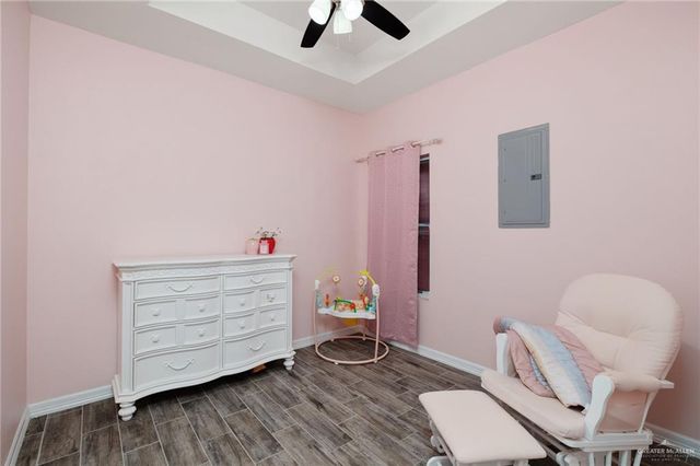 1314 Carlos Drive, Alamo, TX 78516