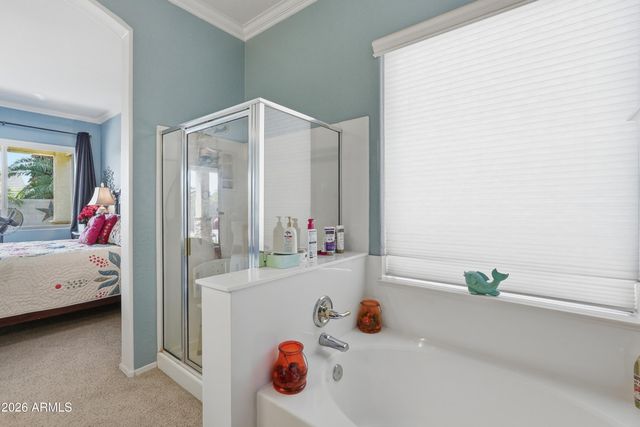 9251 E PRINCESS Drive, Mesa, AZ 85207