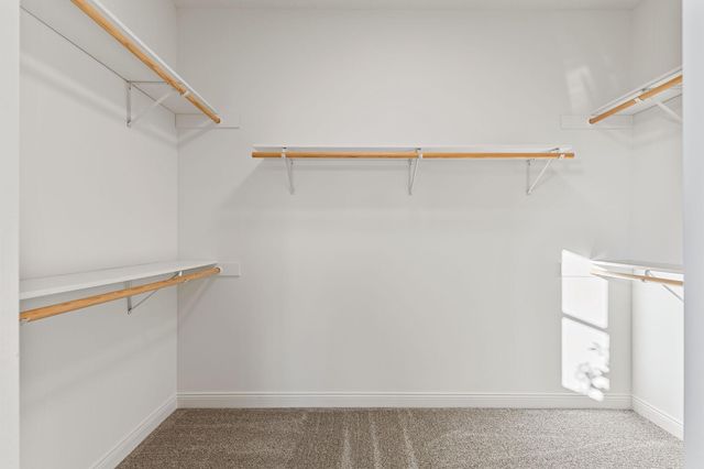 21207 Tippecanoe Street NE, East Bethel, MN 55011