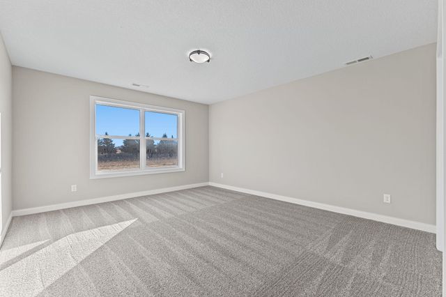 21207 Tippecanoe Street NE, East Bethel, MN 55011