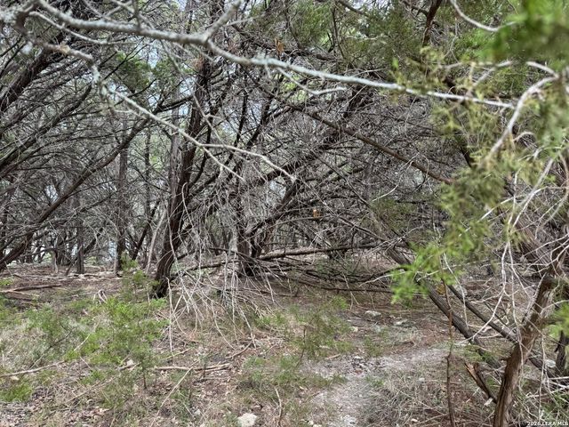 1567 CANYON BND, Canyon Lake, TX 78133