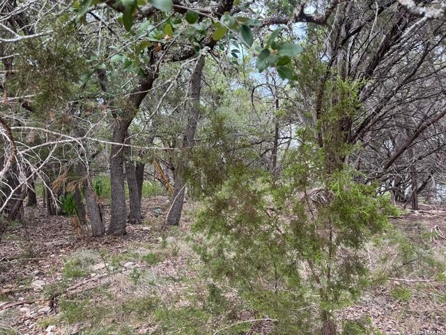 1567 CANYON BND, Canyon Lake, TX 78133