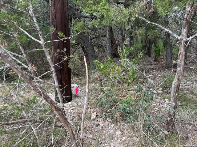 1567 CANYON BND, Canyon Lake, TX 78133