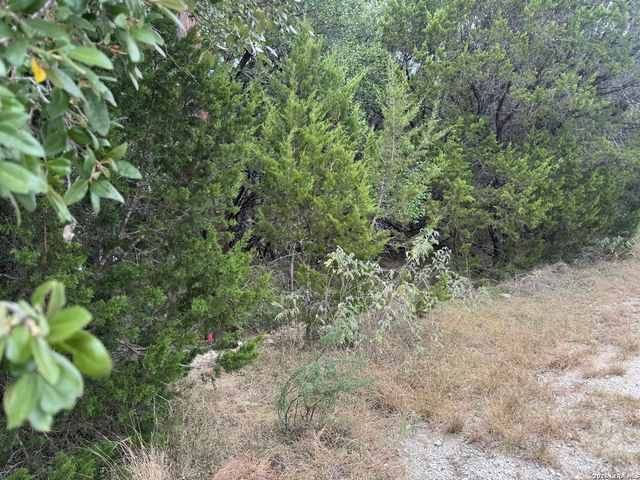 1567 CANYON BND, Canyon Lake, TX 78133