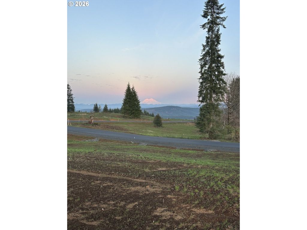 236 Suncrest Dr 1, Castle Rock, WA 98611