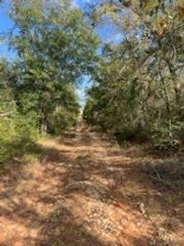 Lot 18 of Ranches Woodland Trail RNCH, Caldwell, TX 77836
