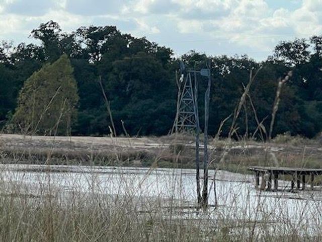 Lot 18 of Ranches Woodland Trail RNCH, Caldwell, TX 77836